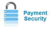Payment Security